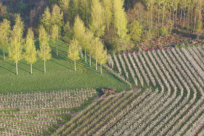 BUITEN BEELD Foto: 91487