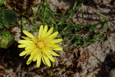 BUITEN BEELD Foto: 91494