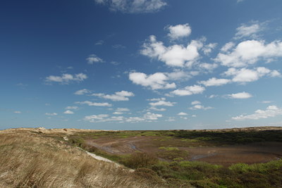 BUITEN BEELD Foto: 91524