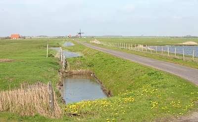 BUITEN BEELD Foto: 91527