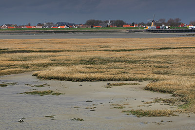 BUITEN BEELD Foto: 91529