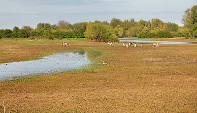 BUITEN BEELD Foto: 91531