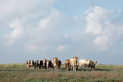 BUITEN BEELD Foto: 91532