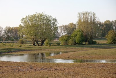 BUITEN BEELD Foto: 91536