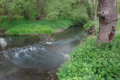 BUITEN BEELD Foto: 91537