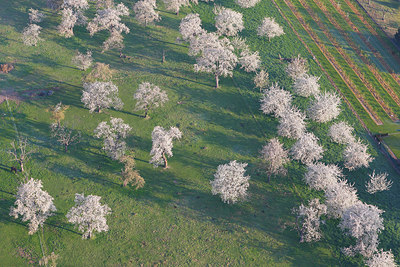 BUITEN BEELD Foto: 91542