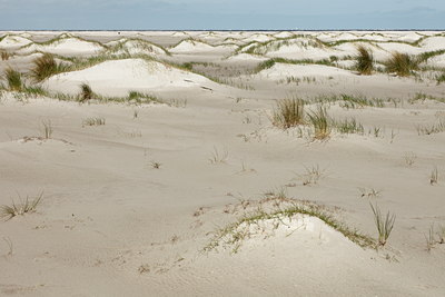 BUITEN BEELD Foto: 91549