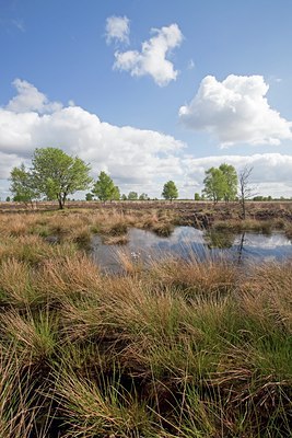 BUITEN BEELD Foto: 91559