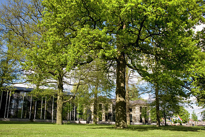 BUITEN BEELD Foto: 91562
