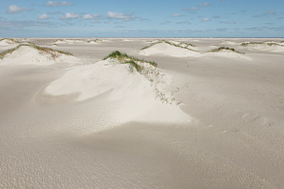 BUITEN BEELD Foto: 91565