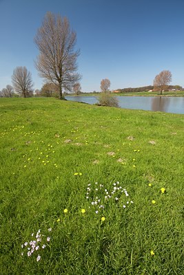 BUITEN BEELD Foto: 91566