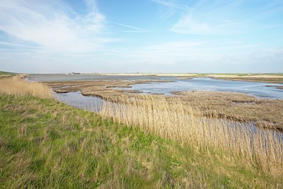 BUITEN BEELD Foto: 91573