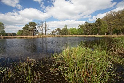 BUITEN BEELD Foto: 91591