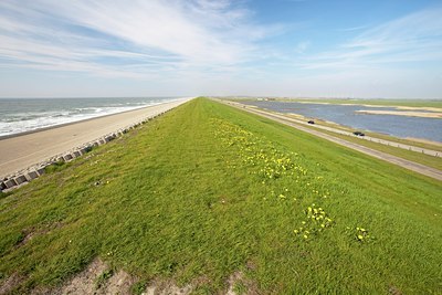 BUITEN BEELD Foto: 91597