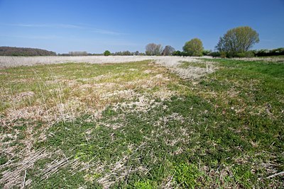 BUITEN BEELD Foto: 91601
