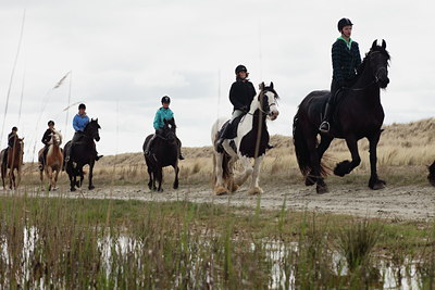 BUITEN BEELD Foto: 91602