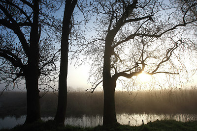 BUITEN BEELD Foto: 91605