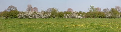 BUITEN BEELD Foto: 91610