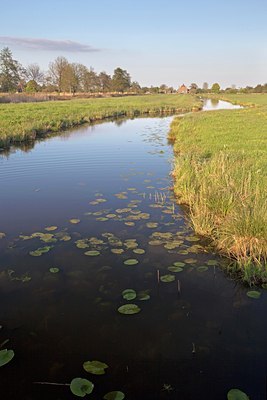 BUITEN BEELD Foto: 91619