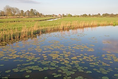 BUITEN BEELD Foto: 91620