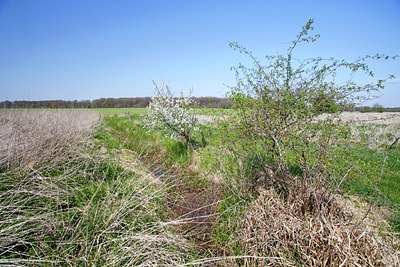 BUITEN BEELD Foto: 91634