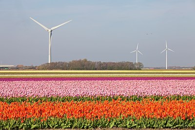 BUITEN BEELD Foto: 91637