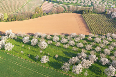 BUITEN BEELD Foto: 91644