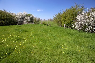 BUITEN BEELD Foto: 91658