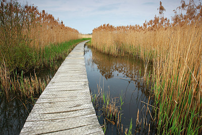 BUITEN BEELD Foto: 91665