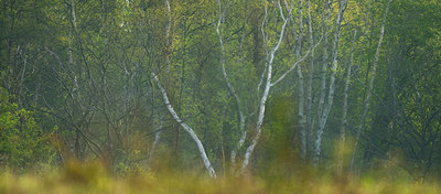 BUITEN BEELD Foto: 91693
