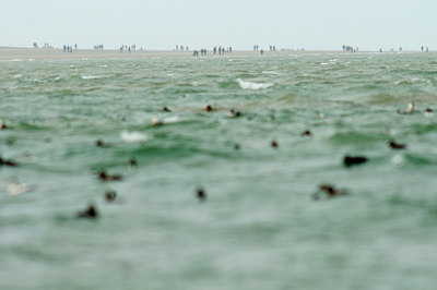 BUITEN BEELD Foto: 91711