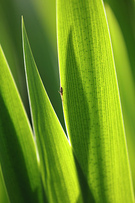 BUITEN BEELD Foto: 91717