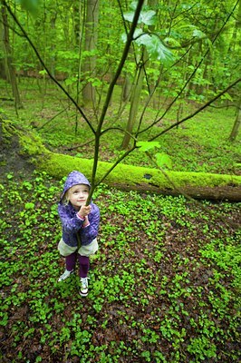 BUITEN BEELD Foto: 91734