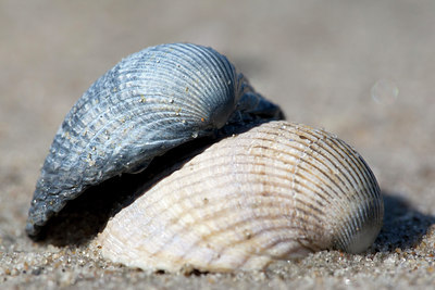 BUITEN BEELD Foto: 91753