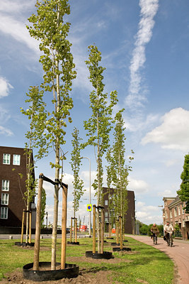 BUITEN BEELD Foto: 91770