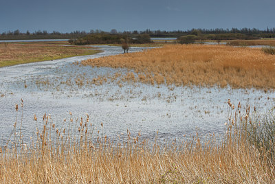 BUITEN BEELD Foto: 91800