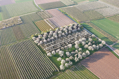 BUITEN BEELD Foto: 91811