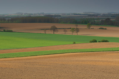 BUITEN BEELD Foto: 91819