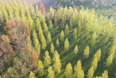 BUITEN BEELD Foto: 91848