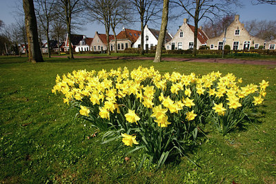BUITEN BEELD Foto: 91852