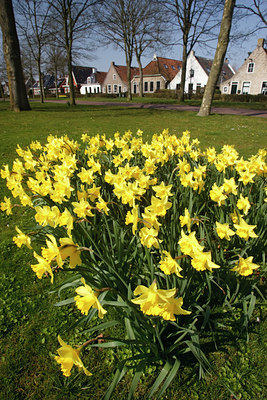BUITEN BEELD Foto: 91853