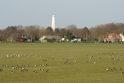 BUITEN BEELD Foto: 91860
