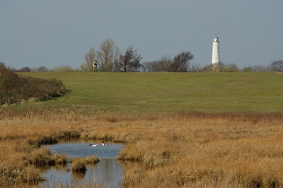 BUITEN BEELD Foto: 91869