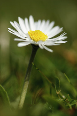 BUITEN BEELD Foto: 91880