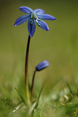 BUITEN BEELD Foto: 91897