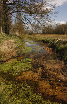 BUITEN BEELD Foto: 91902