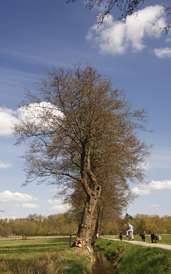 BUITEN BEELD Foto: 91903