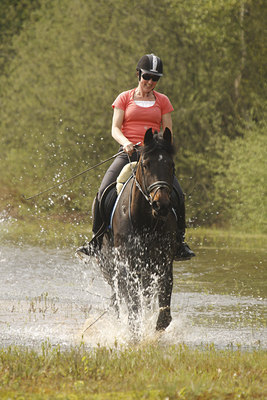 BUITEN BEELD Foto: 91917