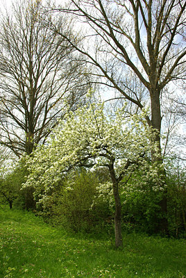 BUITEN BEELD Foto: 91963