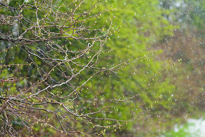 BUITEN BEELD Foto: 92011